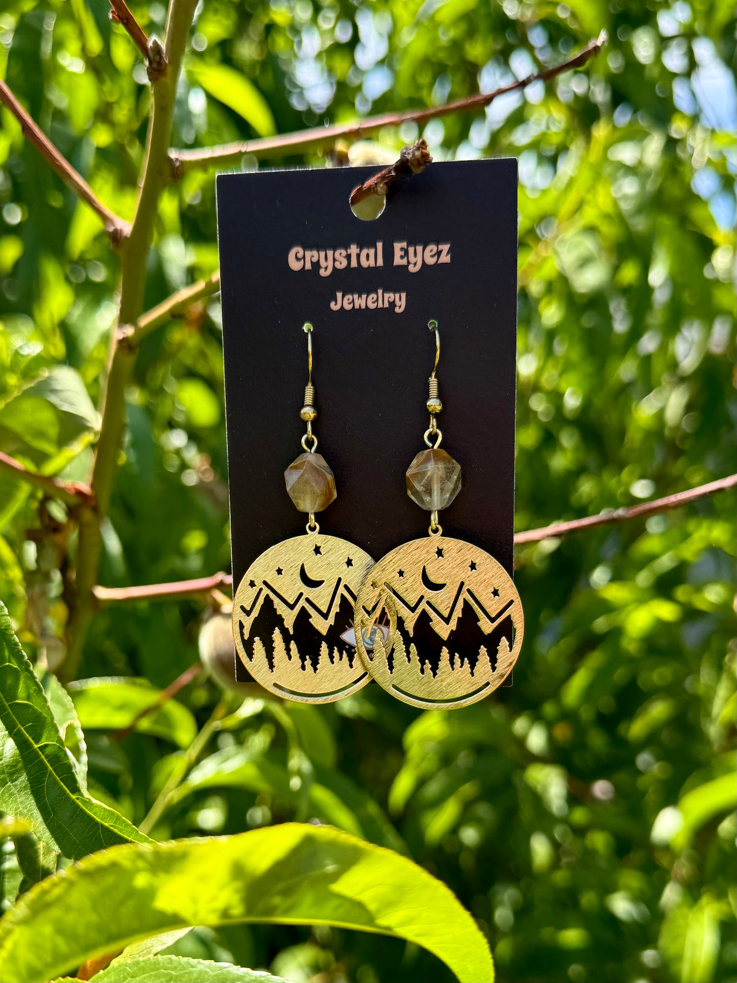 Mountain Scenery Earrings