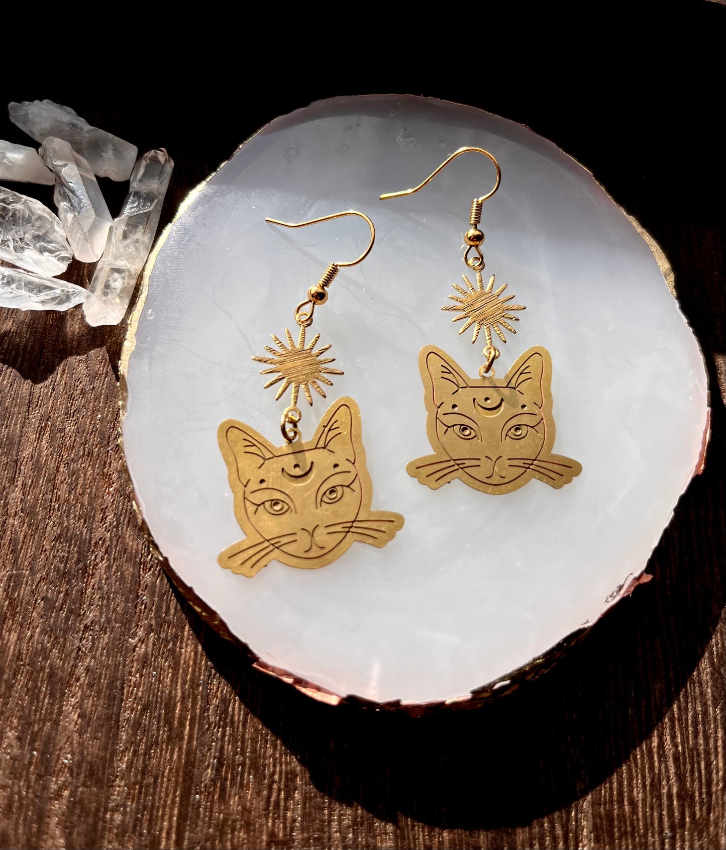 Moon Cat Earrings