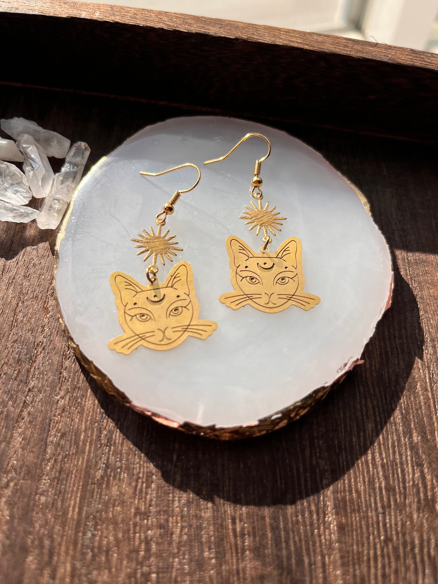 Moon Cat Earrings